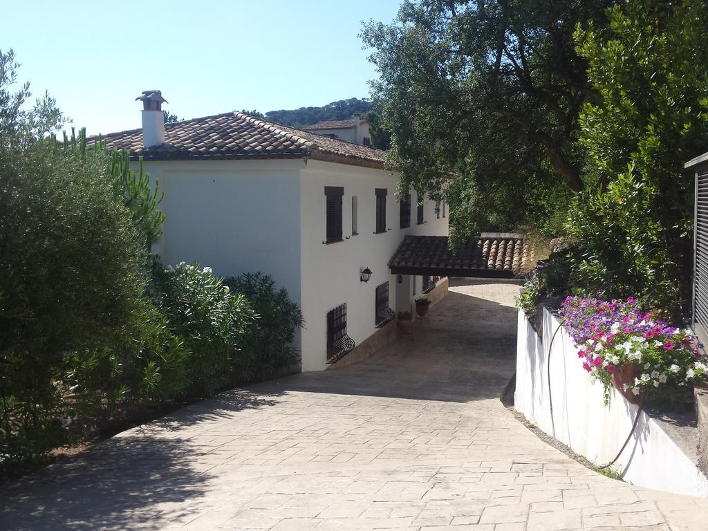 Villa Pantanal In Golf Costa Brava Santa Cristina d'Aro Room photo